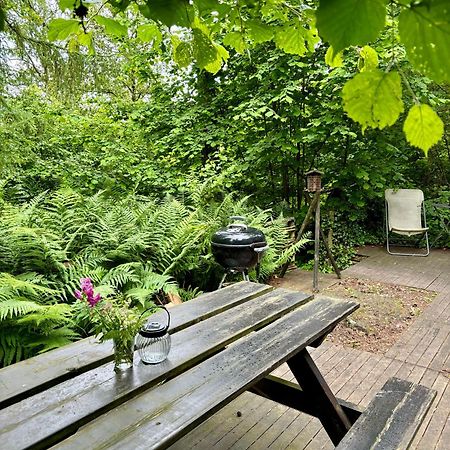 Chalet Scandinave Avec Sauna Ir - In The Woods Gesves 외부 사진