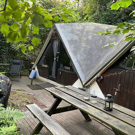 Chalet Scandinave Avec Sauna Ir - In The Woods Gesves 외부 사진