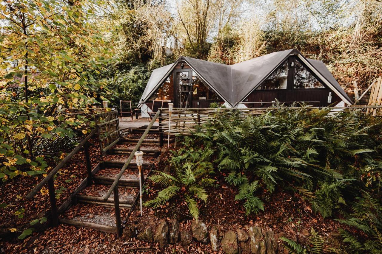 Chalet Scandinave Avec Sauna Ir - In The Woods Gesves 외부 사진