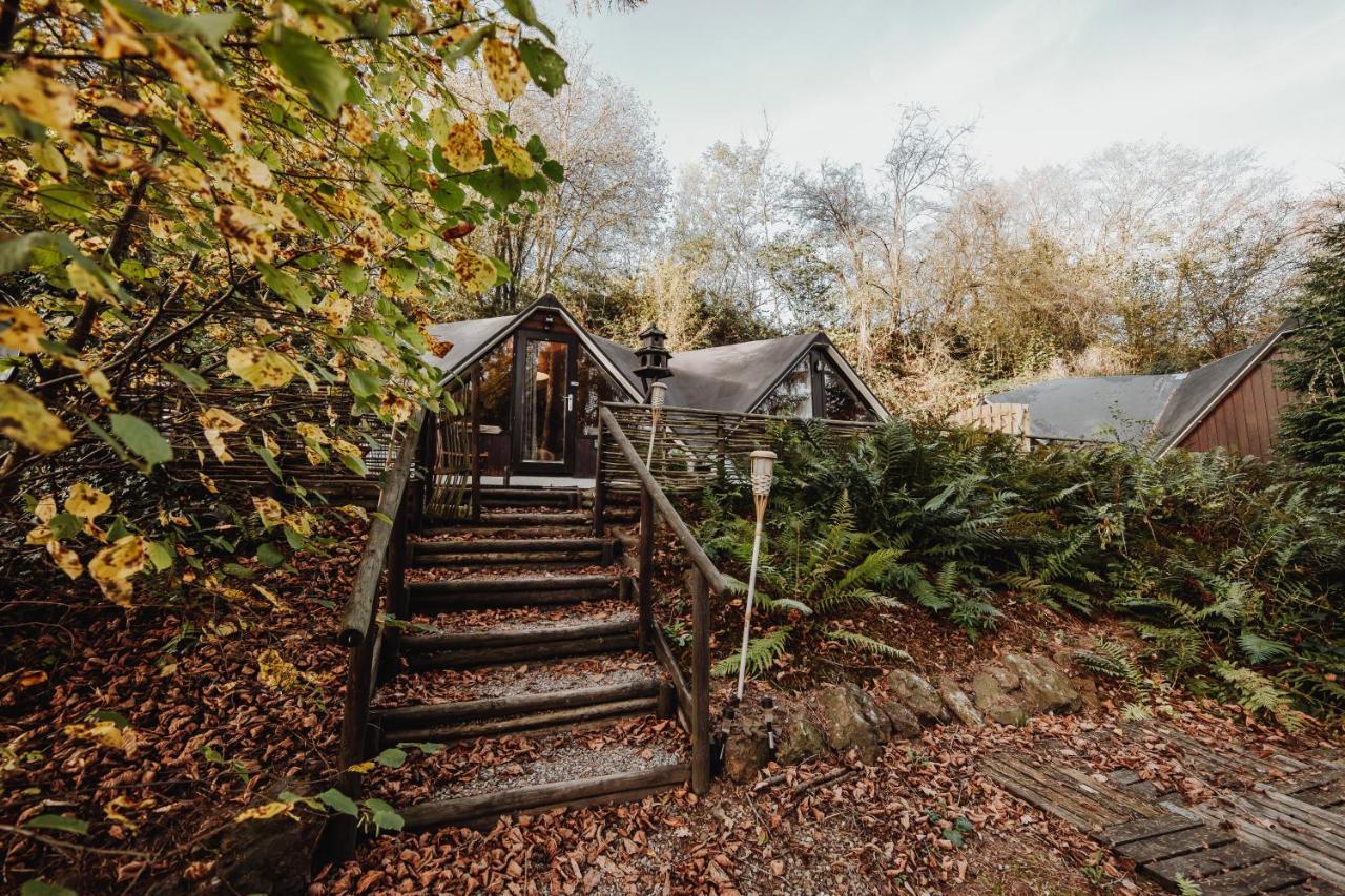 Chalet Scandinave Avec Sauna Ir - In The Woods Gesves 외부 사진