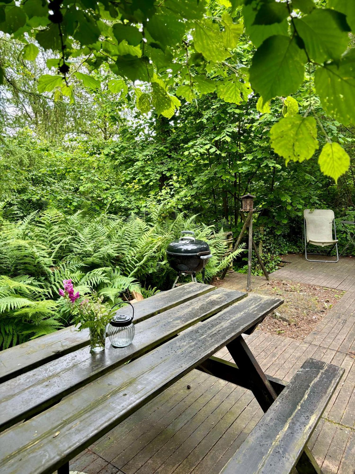 Chalet Scandinave Avec Sauna Ir - In The Woods Gesves 외부 사진