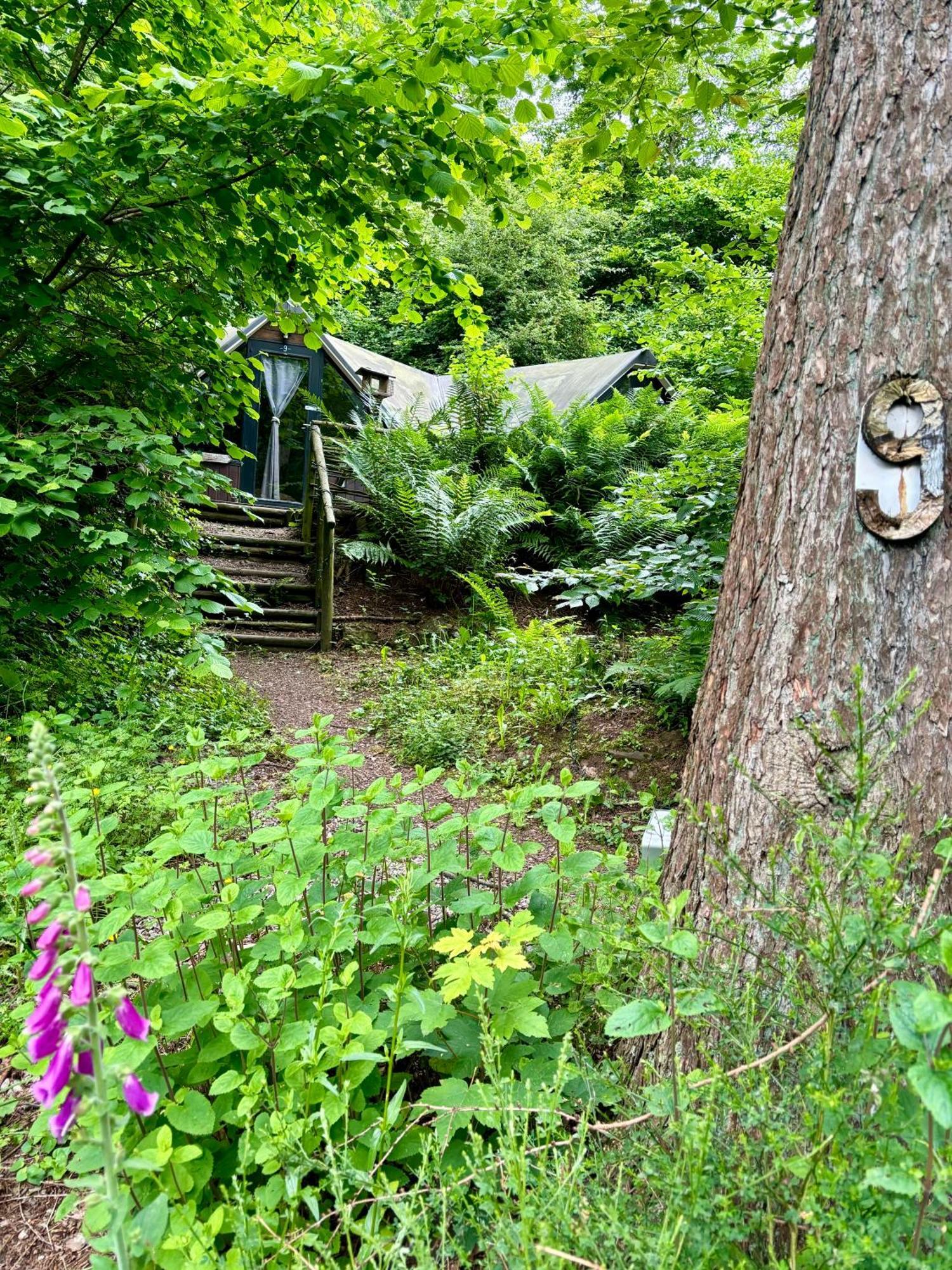 Chalet Scandinave Avec Sauna Ir - In The Woods Gesves 외부 사진